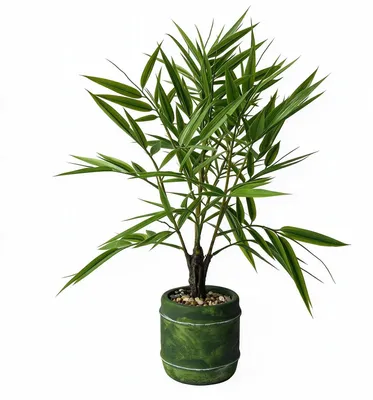 Produktbild von INtrenDU Kunstpflanze Bambus im Topf, ca. 48 cm, künstlich wie echt