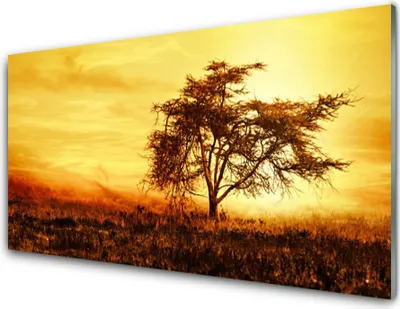 Produktbild von Acrylglasbilder 100x50 Wandbild Druck Baum Natur