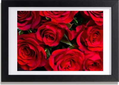 Produktbild von Bild 30x20 MDF-Rahmen, Wandkunst rote Rosen