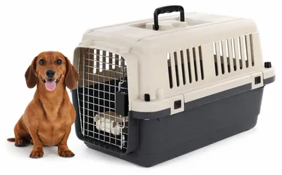 Produktbild von hundebox Auto - transportbox Hund - Flamingo Fomad dunkelgrau - S 40 x 61 x 41 c