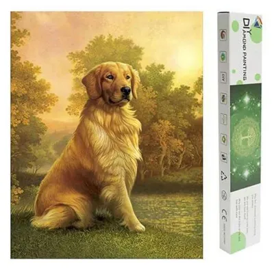 Immagine prodotto di Quadri in cristalli Diamond Painting: Cane Labrador, 40x50 cm, con cristalli quadrati, kit fai-da-te, pittura 5D per numeri