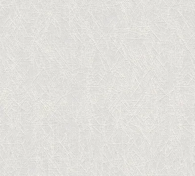 Zdjęcie produktu dla A.S. Création tapeta włókninowa Meistervlies Pro Protect 2, biała, do malowania, 10,05 m x 0,53 m, 167613, 1676-13