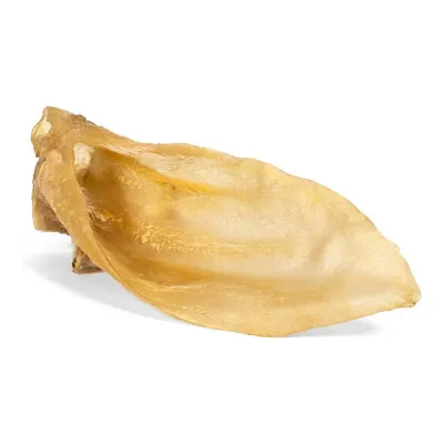 Imagen del producto de Snack para perros Gloria, orejas de cordero