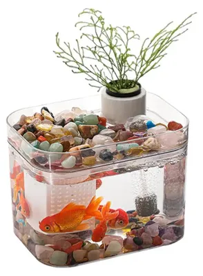 Imagen del producto de Acuario - Pequeño estanque para peces - Transparente - 16 x 12 cm
