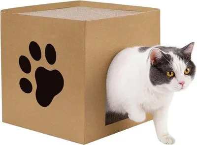 Immagine prodotto di Casetta per gatti in cartone con cuscino e lettino - Rifugio per gatti e conigli - Piccoli animali (30x30x30 cm)