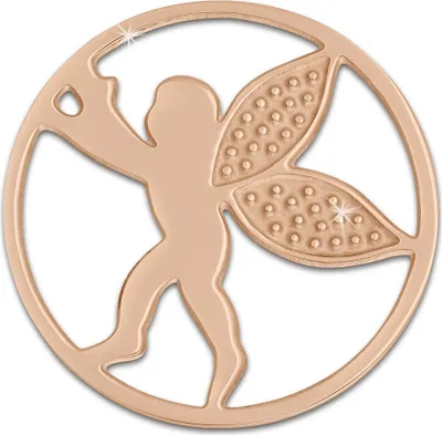 Produktbild von Amello Edelstahl vergoldet Coins rose 30 mm Einleger Engel Damen Coin ESC514E