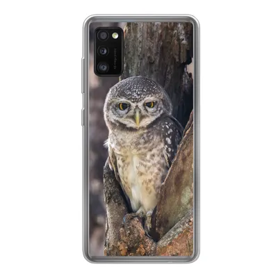 Produktbild von MuchoWow® Handyhülle Schutzhülle Hülle für Samsung Galaxy A41 Eule - Baum - Wald Silikon Softcase Handy Hülle - Mobiltelefon