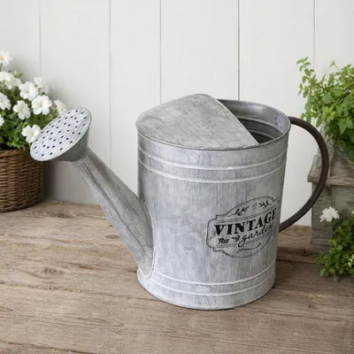 Produktbild von Gießkanne Blechkanne Metallkanne Kanne Dekokanne verzinkt 5 Liter