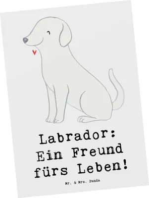 Produktbild von Mr. & Mrs. Panda Postkarte Labrador Freund - Weiß - Geschenk, Leben, Apportieren, Ansichtskarten, intelligenter Hund, Grußkarte, Hunderassen Vielfalt, Hunderasse, treuer