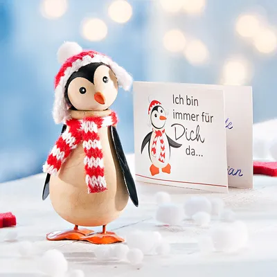 Produktbild von Pinguin "Flocke" in Geschenkbox