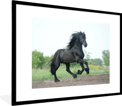 Produktbild von MuchoWow® Gerahmtes Poster Pferd - Schwarz - Natur 80x60 cm - Poster mit Schwarzem Bilderrahmen Wandposter Rahmen Foto Bilder - Schlafzimmer-Dekorationen - Fotoposter