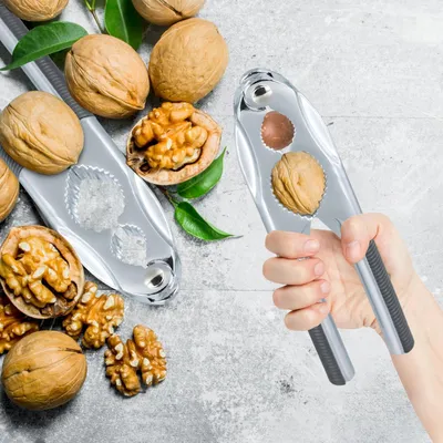 Produktbild von Dailygoods – Nussknacker aus Edelstahl – Walnussknacker