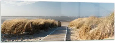 Produktbild von Bilder auf glas - Strand Meer Fußgängerbrücke Ufer - 160x50cm - Glasbilder - Wandbilder - Kunstdruck - zum Aufhängen bereit - Wanddekoration aus Glas - Glas Bilder - Wandbild auf Glas - GAB160x50-2657