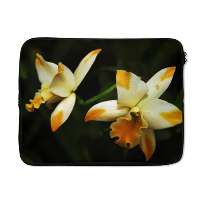 Produktbild von MuchoWow® Laptop Hülle 17 Zoll Laptoptasche Zwei Orchideenblüten - Zipper - Schutzabdeckung