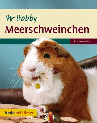 Produktbild von Meerschweinchen Ihr Hobby
