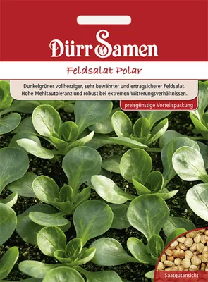 Produktbild von Dürr-Samen - Feldsalat Polar (Vorteilspackung) - Saatgut - 1260