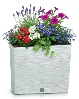 Image de Pot de fleurs FURU avec réservoir d'eau, blanc, 58 x 18 cm