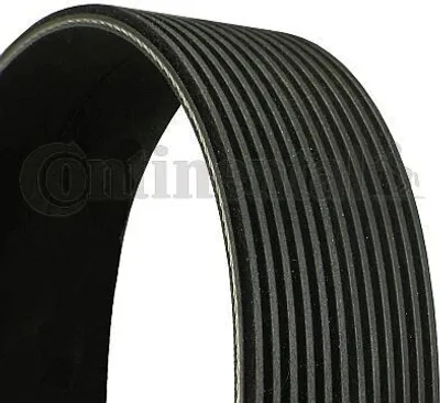 Produktbild von Continental ContiTech 12PK1507 Keilrippenriemen passend für MERCEDES-BENZ AROCS 1507mm