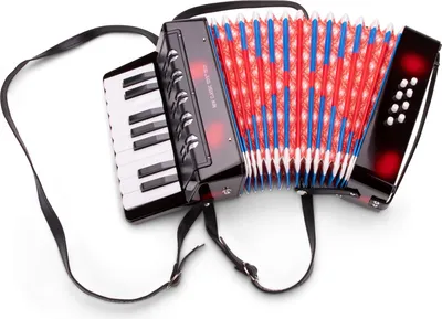 Obrázok produktu pre New Classic Toys 10057, Hračkársky hudobný nástroj, Akordeón, 3 rok / roky, Viacfarebný