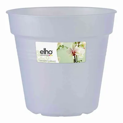 Immagine prodotto di Verde Basic Orchidee trasparente 15 cm