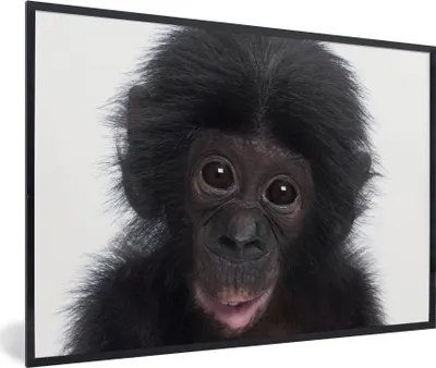 Produktbild von MuchoWow® Gerahmtes Poster Affe - Schimpanse - Porträt - Kinder - Jungen - Mädchen 90x60 cm - Poster mit Schwarzem Bilderrahmen Wandposter Rahmen Foto Bilder - Fotorahmen - Foto-Plakat
