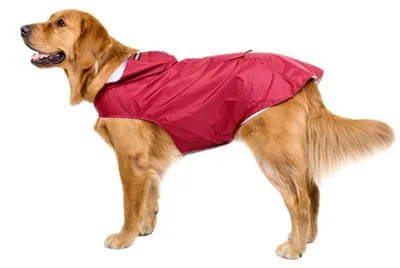 Produktbild von Hunderegenmantel, wasserdicht, reflektierend, Rot, 4XL