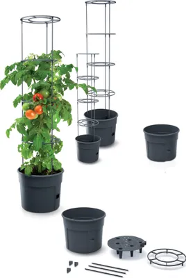 A set of tomato growing pots and supports, with one pot containing a tomato plant.