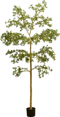 Produktbild von Emerald Künstlicher schwarzer Olivenbaum - Finja | 290 cm, für drinnen, Kunstbaum, wie echt, Allergiker geeignet, pflanzliche Dekoration Praxis, Office & Wohnzimmer