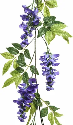 Image de Branche Glycine Lilas 150cm Réalisme Et Durabilité - Everlands