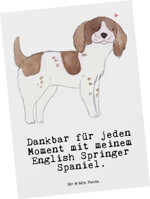Produktbild von Mr. & Mrs. Panda Postkarte English Springer Spaniel Moment - Weiß - Geschenk, Grußkarte, bildkarte, Ansichtskarten, Postkarten, Ansichtskarte