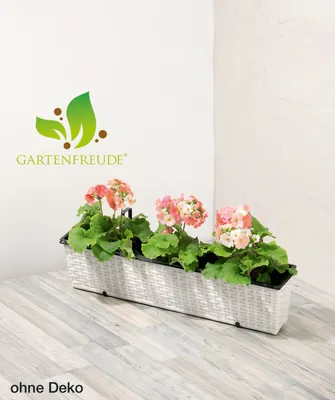 Produktbild von Gartenfreude Balkonkasten Pflanzkasten geflecht