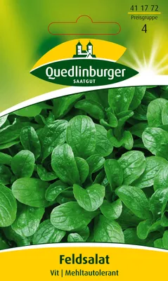 Produktbild von Feldsalat Vit | Feldsalatsamen von Quedlinburger