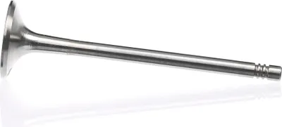 Immagine prodotto di ET ENGINETEAM VE0059: valvola di scarico, diametro 30 mm, lunghezza 103,9 mm, compatibile con:
* VW Golf IV (berlina, 1J1)
* VW Passat Variant (3B6)
* AUDI A6 Avant (4F5, C6)
* AUDI A4 Avant (8ED, B7)