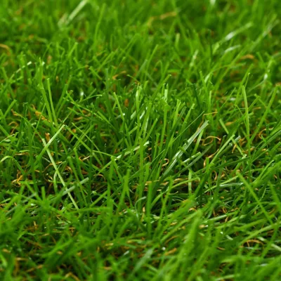 Obrázek produktu pro vidaXL Umělá tráva 1,33x10 m/40 mm Zelená