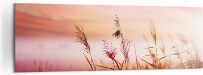 Produktbild von Bild auf Leinwand - Leinwandbild - Wiese Getreide Natur - 160x50cm - Wand Bild - Wanddeko - Leinwanddruck - Bilder - Kunstdruck - Wanddekoration - Leinwand bilder - Wandkunst - AB160x50-3530
