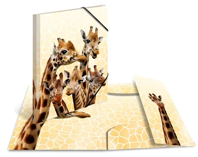 Produktbild von HERMA Eckspannermappe Exotische Tiere A4 Giraffenfreunde