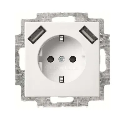 Produktbild von Busch-Jaeger B SI SCHUKO, 2x USB-STD 20 EUCB2USB-914, 1 Stk.