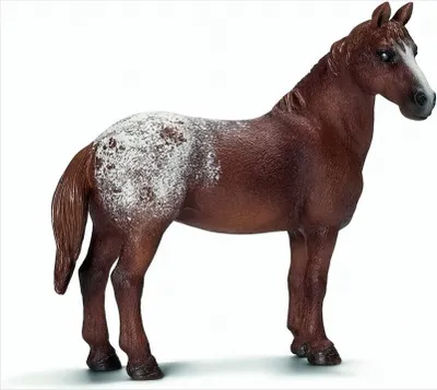 Produktbild von Schleich 13731 - Appaloosa Stute