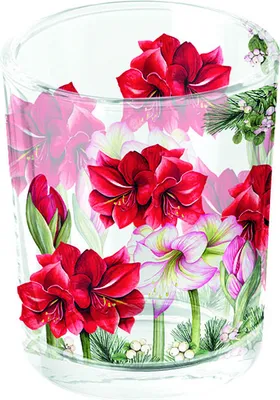Image de Support pour bougie "Teelichthalter" – Amaryllis en fleurs