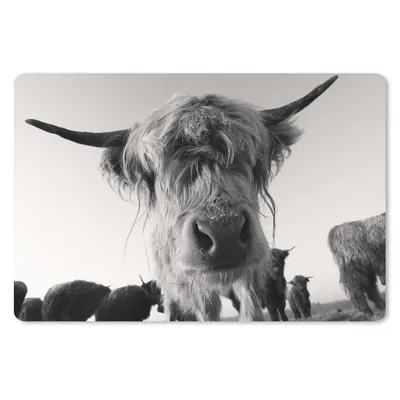 Produktbild von MuchoWow® Schreibtischunterlage Schottischer Highlander - Schwarz - Weiß - Tiere 60x40 cm - XXL Mauspad - Großes Mauspad