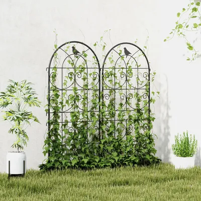 Produktbild von Rankgitter Metall 2er Set, Rankhilfe Vogeldesign, Gartenspalier rostfrei, Schwarz | 50 x 120 cm | 2 Stück | pulverbeschichtet