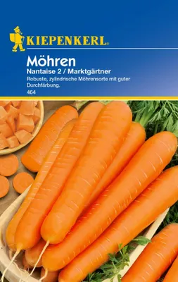Produktbild von Kiepenkerl Möhren 'Nantaise 2 Marktgärtner',1 Portion