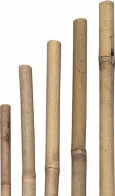 Obrázok produktu pre Tonkinské palice, 8/10 mm x 105 cm