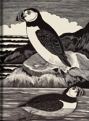 Immagine prodotto di Birds Journal