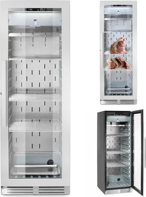 Produktbild von Reifeschrank für Fleisch 352 l 170 B 695x760x1720 mm