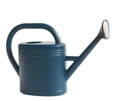 Imagen del producto de Dispensador de flores de 3 litros con boquilla larga