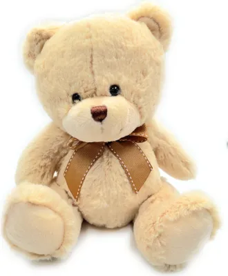 Image de Onwomania Peluche Tissu Animal Teddy Ours mignon 21cm Beige