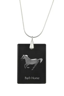 Image de Kůň Barb - Pendentif en cristal avec cheval, collier en argent avec photo, pendentif personnalisé de la marque Art-Dog