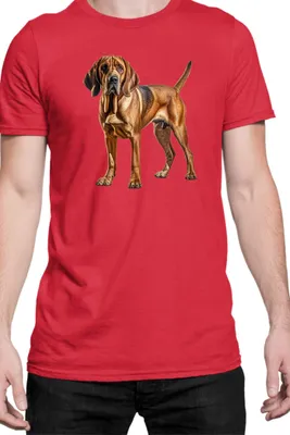 Immagine prodotto di Maglietta da uomo Dogs Breeds Bloodhound Dog Breed 006, Man S , Rouge
