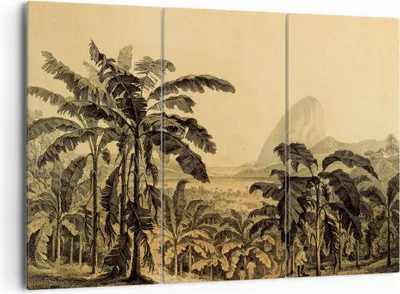 Produktbild von Bild auf Leinwand - Leinwandbild - 3 Teile - Palmen Wald Regnerisch - 165x110cm - Wand Bild - Wanddeko - Wandbilder - Leinwanddruck - Bilder - Wanddekoration - Leinwand bilder - CE165x110-4983